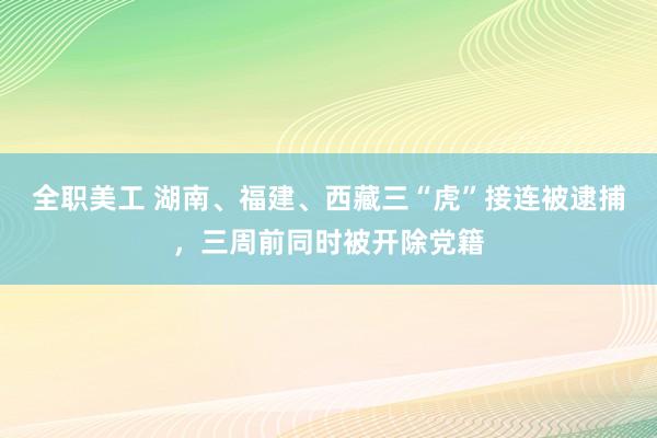 全职美工 湖南、福建、西藏三“虎”接连被逮捕，三周前同时被开除党籍