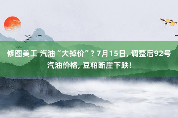 修图美工 汽油“大掉价”? 7月15日, 调整后92号汽油价格, 豆粕断崖下跌!